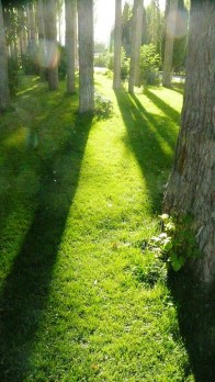 aga-khan-park-khorog-4 aga-khan-park-khorog-4