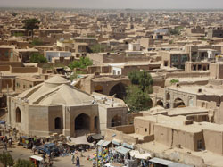 cultural-conservation