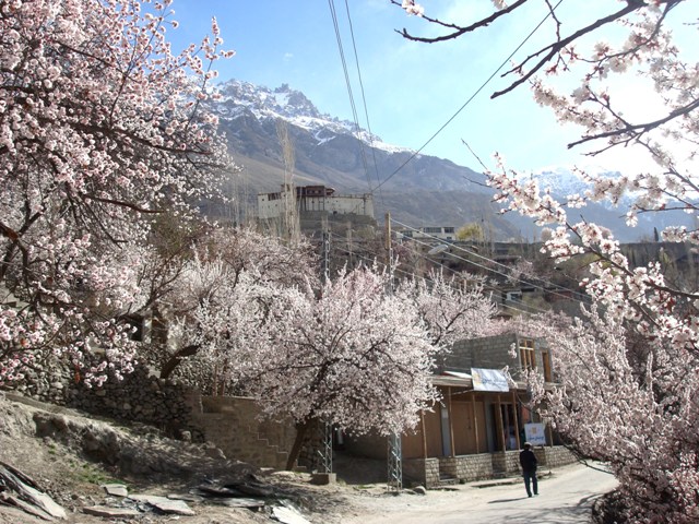 Baltit Fort in Spring