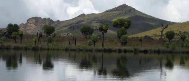 Winter 2009 Challenge