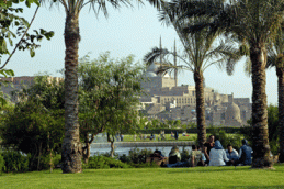 The Institute of Ismaili Studies - Live Webcast: Book Launch: Living in Historic Cairo: Past and Present in an Islamic City