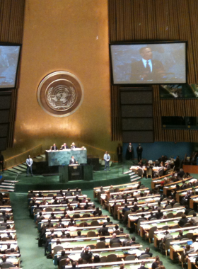 Sadaf Sajwani: Stopping Development as Usual | Communique