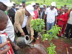 Earth Day 2011: Planting 10 Million Trees | PartnershipsInAction