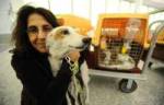 Naz Sayani rescues seven puppies and stray dog from Surat, India