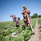 Kyrgyzstan: Agricultural Woes Give Way to Food Security Concerns | EurasiaNet.org
