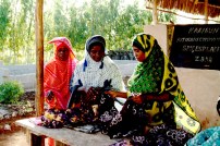 Walk for a better future