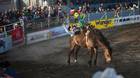 What the 100-year-old Calgary Stampede means to Canada - The Globe and Mail