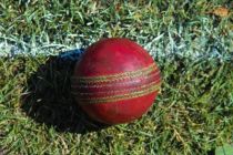 800px-Used_cricket_ball