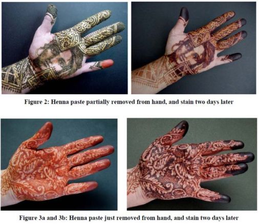 The Techniques of Persian Henna