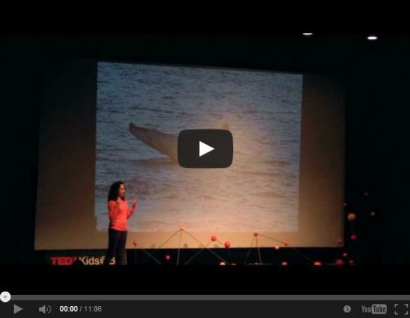 Selin Jessa – The End of the World and the Beginning of Everything Selin Jessa TedX