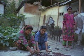 Aga Khan Foundation USA CEO Mirza Jahanai's Notes: Multi-Input Area Development in Afghanistan and Tajikistan