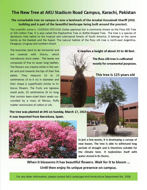 The New Tree at Aga Khan University Stadium Road Campus, Karachi, Pakistan