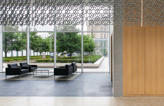 Delegation of the Ismaili Imamat | Ursz(ula) Muntean