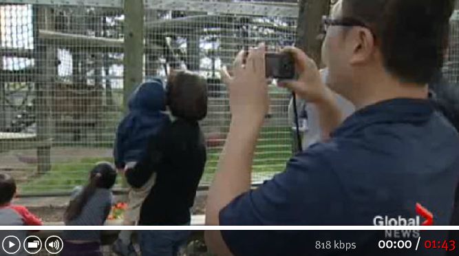 Toronto becoming a hot spot for tourists - In addition, the $300 million Aga Khan Centre will open in 2014