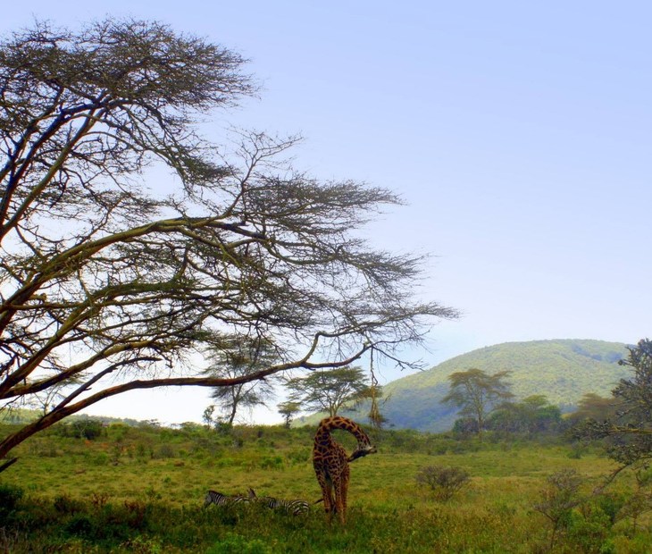 Raheel Lakhani: Richness of Poverty