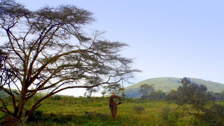 Raheel Lakhani: Richness of Poverty