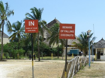 Musings from Dar es Salaam: A blog by AKFC Fellow Alim Fakirani