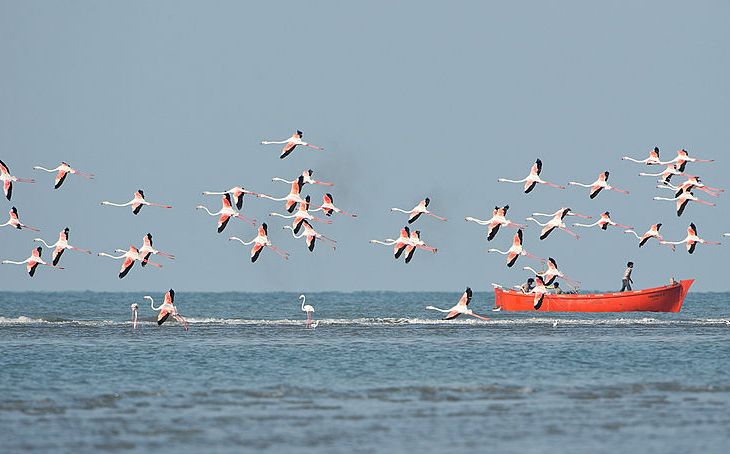 Modhva Fishing Village