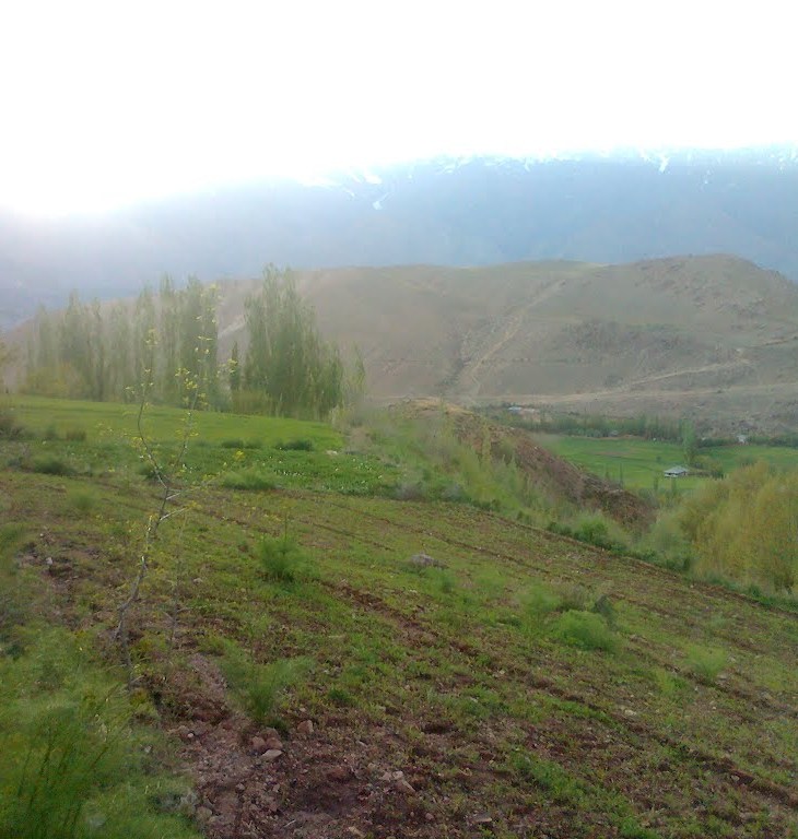 Jamat of Charun-Oveer Chitral Celebrates 77th Birthday of Ismaili Imam with the Opening of New Jamat Khana