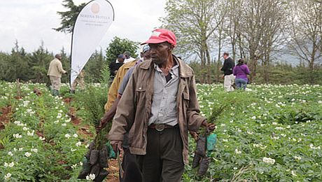 Aga Khan network leads volunteers to plant trees in Mt Kenya forest