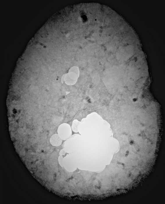 Fatimid coins among hoard of Viking coinage