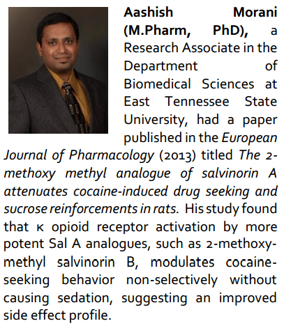 Aashish Morani: International Behavioral Neuroscience Society (IBNS)