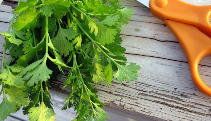 Cilantro Chicken: favorite among the Ismaili Muslims of Kenya | The Splendid Table