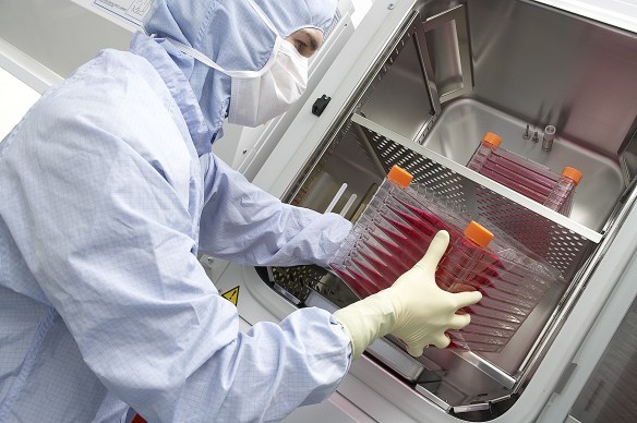 Stem Cell Research at Aga Khan University, Karachi