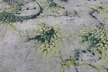 Violent strokes interspersed with gentle designs. (Image: Ismailimail/AM)