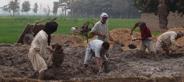 Earth Home Project: Building Homes in Pakistan