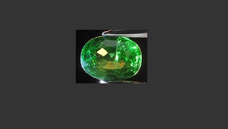 Sky is the limit for gemstone expert Shahzmin Azim Premji