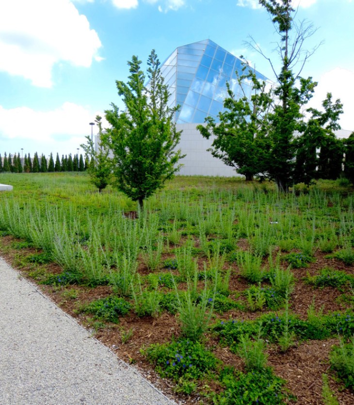 Opencity Projects - Aga Khan Museum