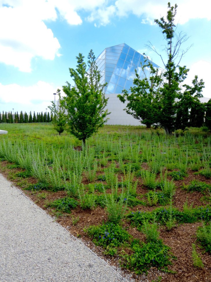 Opencity Projects - Aga Khan Museum