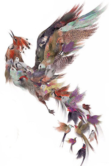 (Image: Simurg Legend)