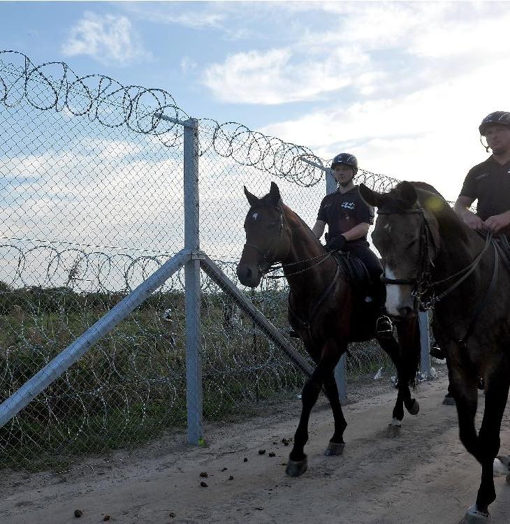 Opinion Mansoor Ladha: Canada missing out in effort to aid Syrian refugees | Edmonton Journal