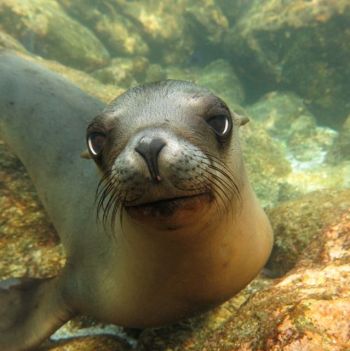 Focused On Nature Exhibition - Prince Hussain Aga Khan, Photographs on display at the Oceanographic Museum of Monaco