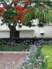 The restored gardens at the Polana Serena Hotel, Maputo