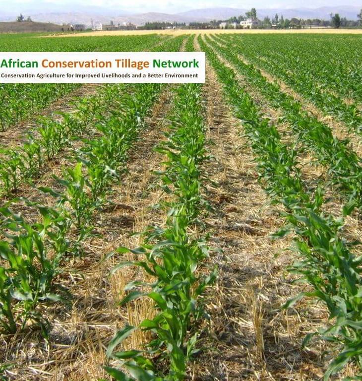 Professor Amir Kassam to Chair International Conservation Agriculture Advisory Panel for Africa