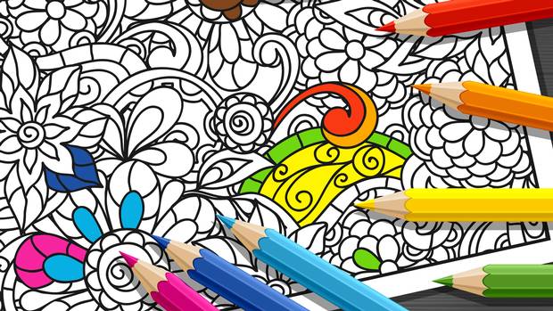 Asifa Samji: Canada’s Most Powerful Women – Women’s Executive Network