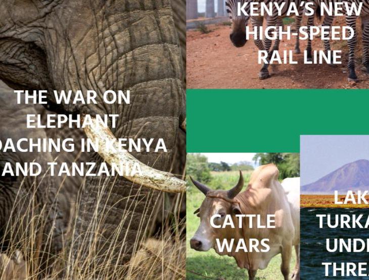 AKU Graduate School of Media and Communication Kenya seeking East African journalists to participate in Environmental Reporting Challenge