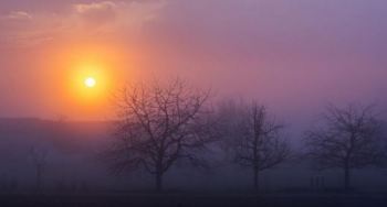 Armina Khwaja: Assimilation & Being Part of the Whole #HigherEdDesi