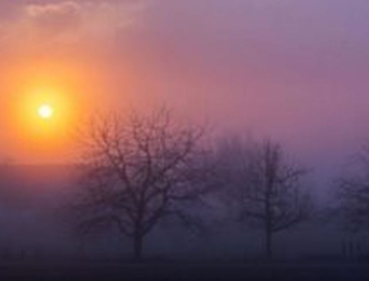 Armina Khwaja: Assimilation & Being Part of the Whole #HigherEdDesi