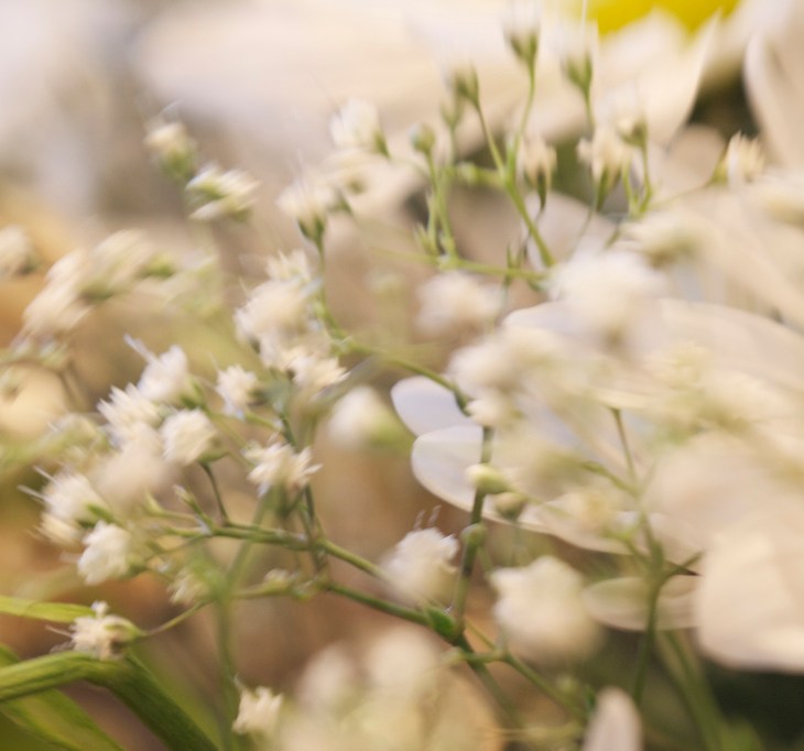 Akbar Haji Obituary - Vancouver, BC