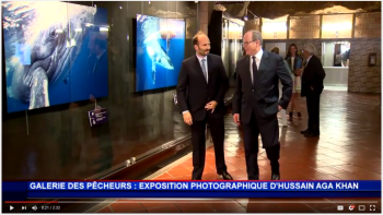 Prince Hussain Aga Khan’s Ocean Wildlife Photography - Monaco video