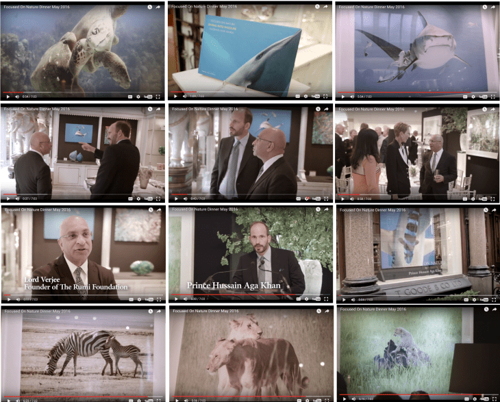 Highlights from The Rumi Foundation - Focused on Nature Exhibition