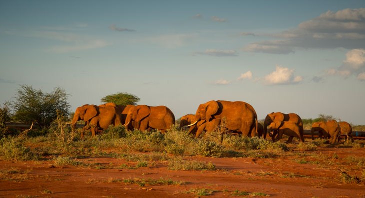 An insight into East Africa’s environmental challenges