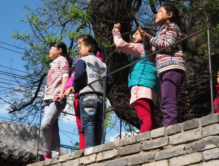 Aga Khan Award for Architecture 2016 Winner: Hutong Children’s Library and Art Centre Beijing, China