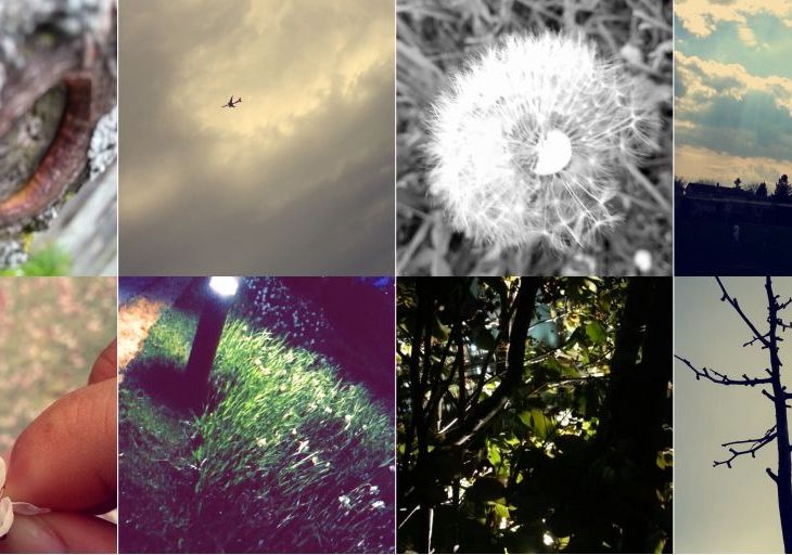 Sofia Suleman's take on Photography, Nature & Life