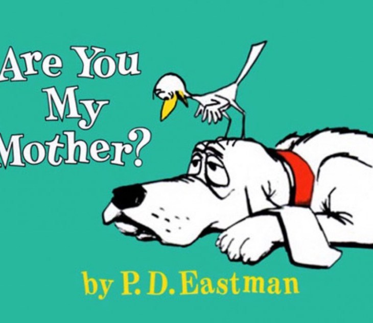 Sabrina Lakhani: Are you my alma mater? | The INSEAD MBA Experience