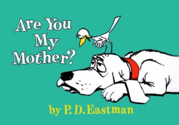 Sabrina Lakhani: Are you my alma mater? | The INSEAD MBA Experience